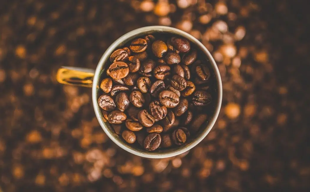 Orientalna kawa – jak ją dobrze dobrać?