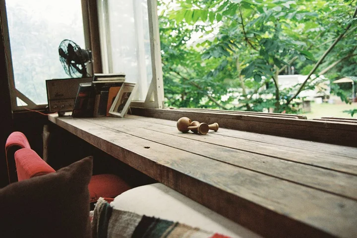 Jak zlikwidować korniki w meblach? Zacznij działać, zanim będzie za późno!