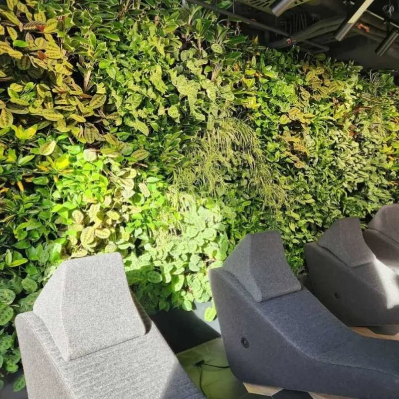 Ogrody wertykalne  zielona rewolucja w przestrzeniach miejskich i prywatnych