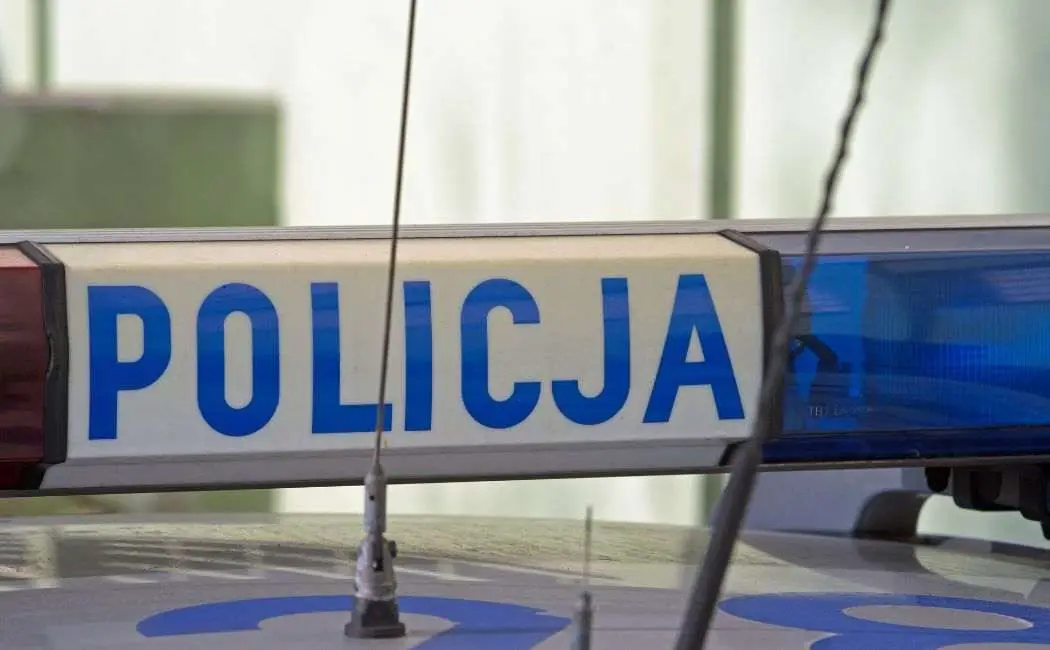 Policjanci i Miś Inspektor Wawelek bawią i uczą dzieci na pikniku w Żmiącej