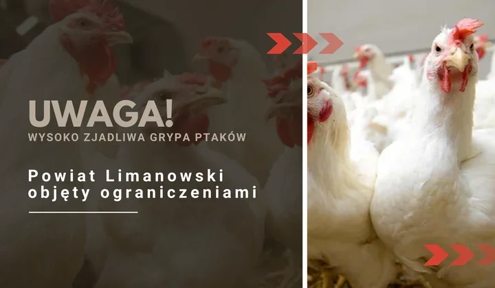 Cztery miejscowości w powiecie limanowskim w strefie zakażenia – co trzeba wiedzieć