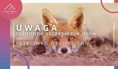 Samoloty i ręczne wykładanie szczepionki. Akcja obejmie całą Małopolskę