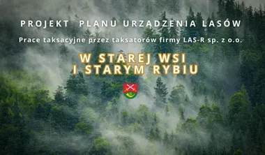 Taksatorzy wejdą do lasów Starej Wsi i Starego Rybia – właściciele otrzymają informacje o projekcie