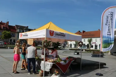 Smaki Olszówki na limanowskim rynku. Były moskale i sery